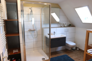 Badezimmer - Fewo Ronja Das Badezimmer besteht aus Dusche, Waschbecken und Toilette